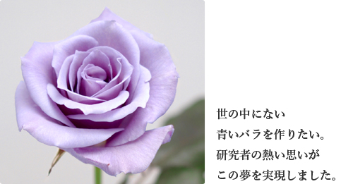 b0162442_2123795.jpg