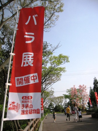 b0162442_8291753.jpg