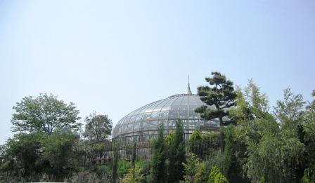 b0162442_829455.jpg