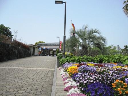 b0162442_8331465.jpg