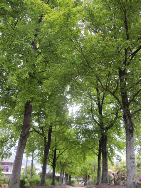 a0142843_2139198.jpg