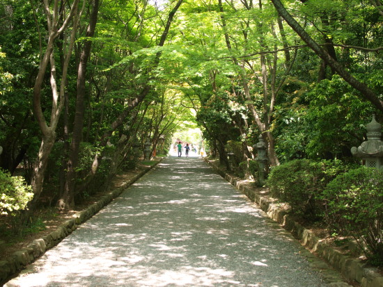 c0072843_1911640.jpg