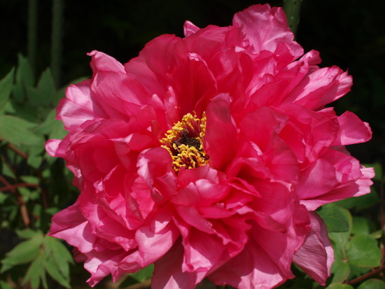 c0072843_1914246.jpg
