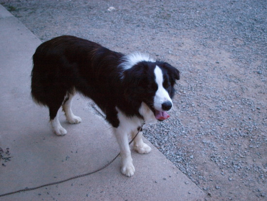 c0072843_1922050.jpg