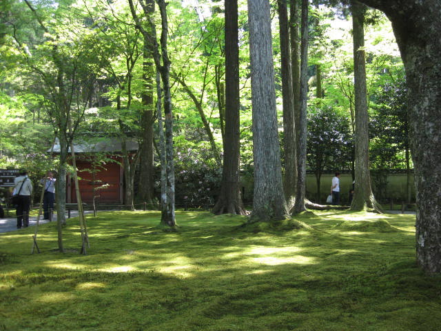 b0123044_1414443.jpg