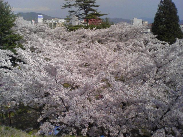 c0123748_1111449.jpg