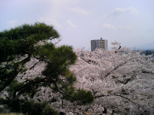 c0123748_11115332.jpg