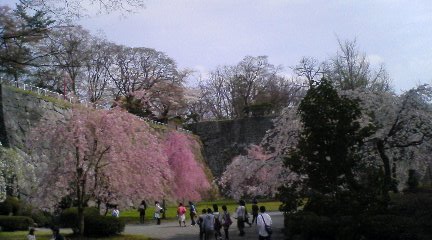 c0123748_11123538.jpg