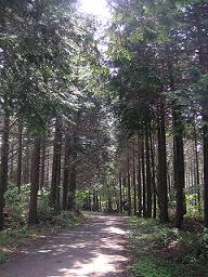 e0022948_18111850.jpg