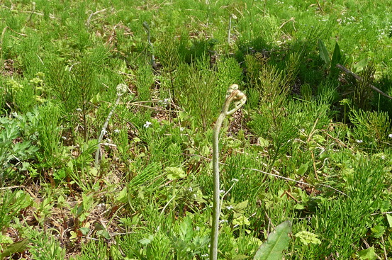 e0002850_22102618.jpg