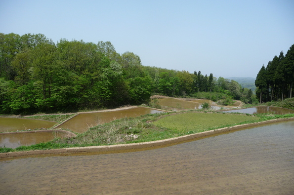 e0002850_22145073.jpg
