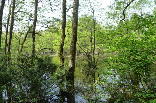 e0002850_2214538.jpg