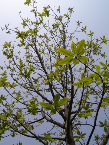 f0043750_23102246.jpg