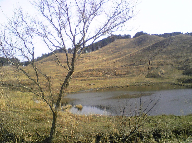 c0084251_23552424.jpg