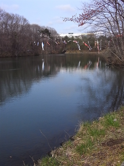 c0003752_0243770.jpg