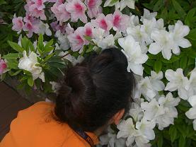 c0192852_1552751.jpg