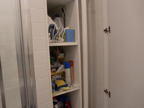 c0206352_425226.jpg