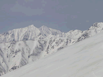 a0044453_2324293.gif