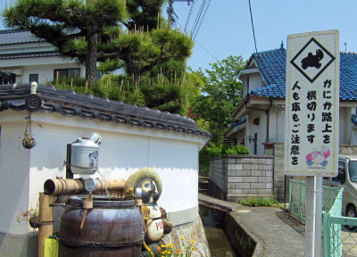 d0031853_5252679.jpg