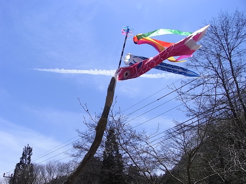 c0113755_4535251.jpg