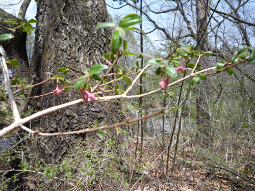 b0045357_12573329.jpg