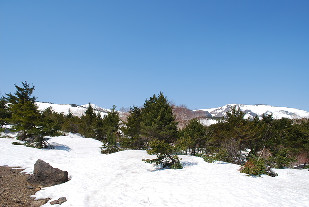 d0034659_2231957.jpg