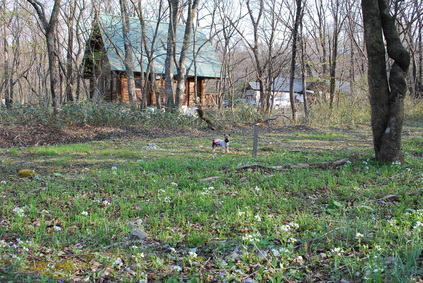 d0034659_2245245.jpg