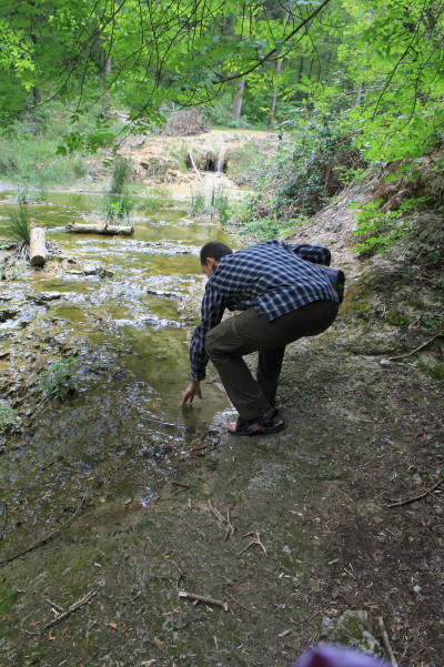 f0077159_4404193.jpg