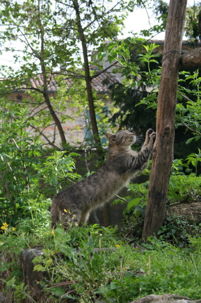 f0077159_5204650.jpg