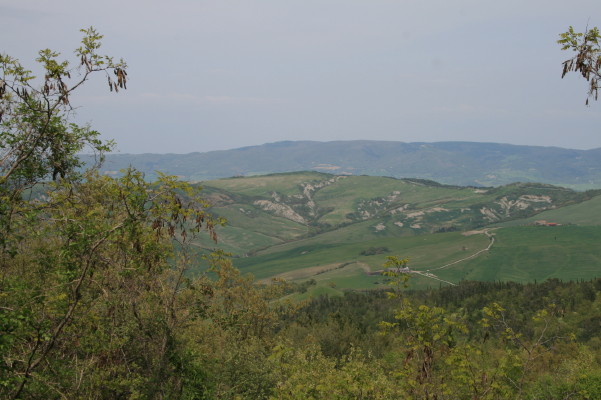 f0077159_53314.jpg