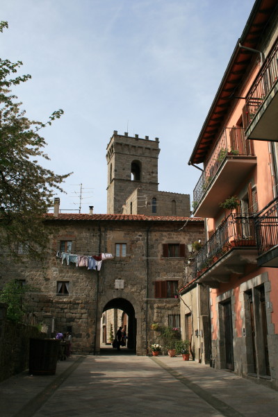 f0077159_53543.jpg