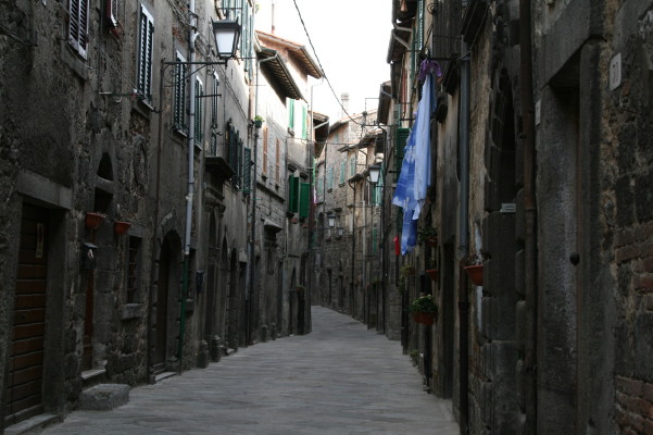 f0077159_58175.jpg