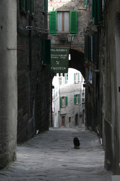 f0077159_584526.jpg