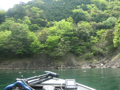 b0177760_9253813.jpg