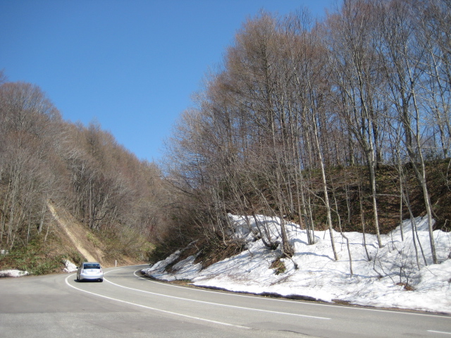 e0116960_1745109.jpg