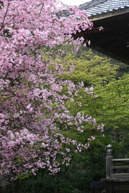 b0138661_1051150.jpg