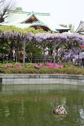 b0138661_172533.jpg