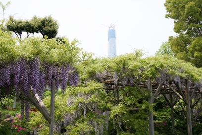b0138661_1763150.jpg
