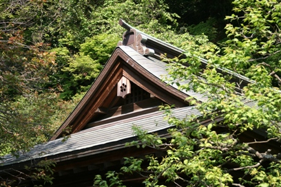 b0138661_8264036.jpg