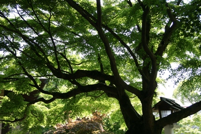 b0138661_8332753.jpg