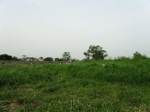 e0073762_153802.jpg