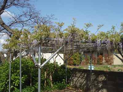 f0062462_21444187.jpg