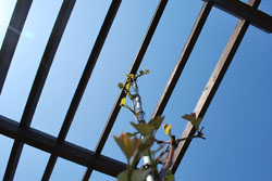 c0114063_1555880.jpg