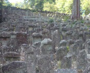 e0187064_0344310.jpg