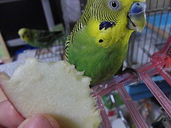f0196665_23581192.jpg