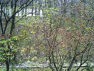 e0151566_19311997.jpg