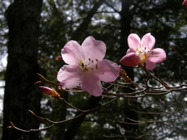c0042869_14582034.jpg