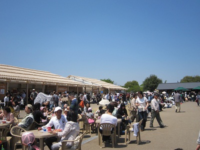 c0224470_14435430.jpg