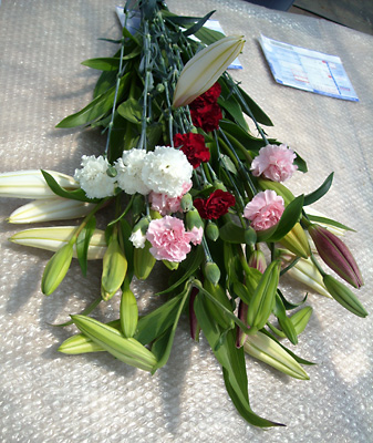 e0097770_0365667.jpg