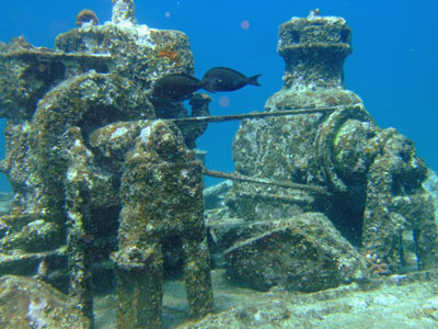b0033573_18364348.jpg